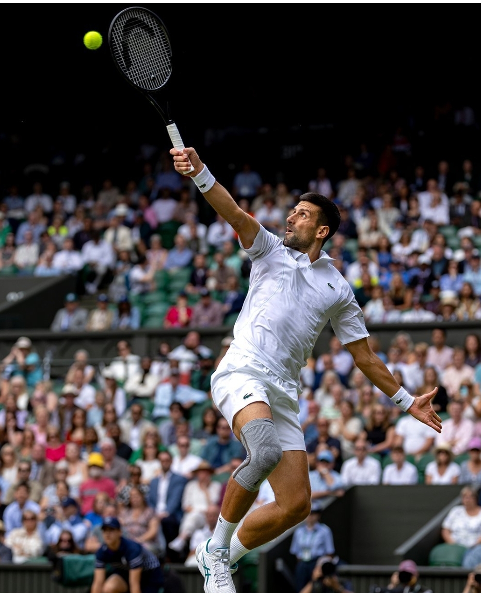 28圈-皇家马德里前途光明！，德约科维奇新星爆冷表现突出引发球迷热议的简单介绍